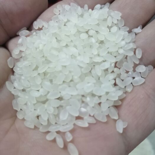 沭阳县一级精品珍珠米
