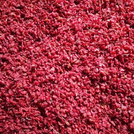 凤县 山茱萸