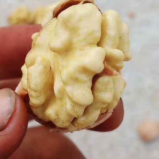 正阳县阿克苏薄皮核桃