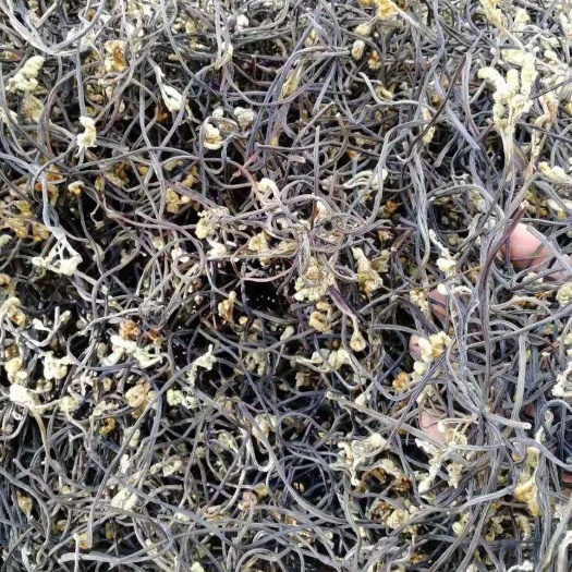 优级蕨菜干，10公斤一箱，优惠直销，批发