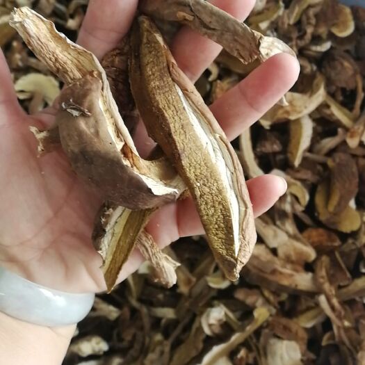 昆明 美味牛肝菌云南野生牛肝菌