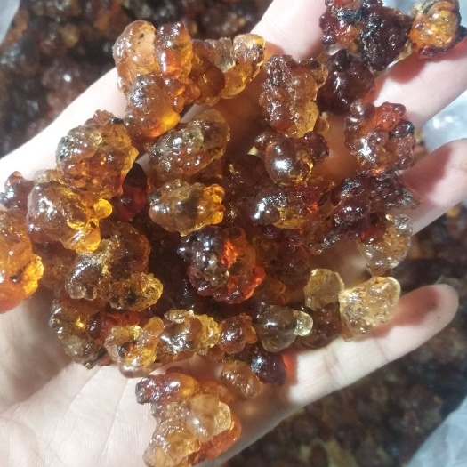 随县野生桃胶 黄红胶，红黄胶，红胶，红黑胶