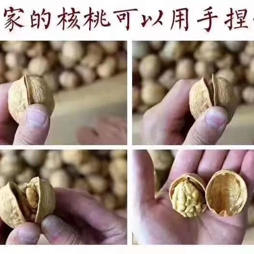 三原县 自产自销绿色无公害，纸皮185核桃