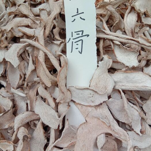 亳州蛇莲  蛇六骨