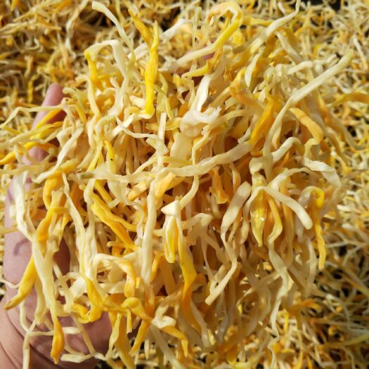 祁东县祁东黄花菜 本产品用于火锅，凉拌最好，食用前请用清水净泡20分钟左右。