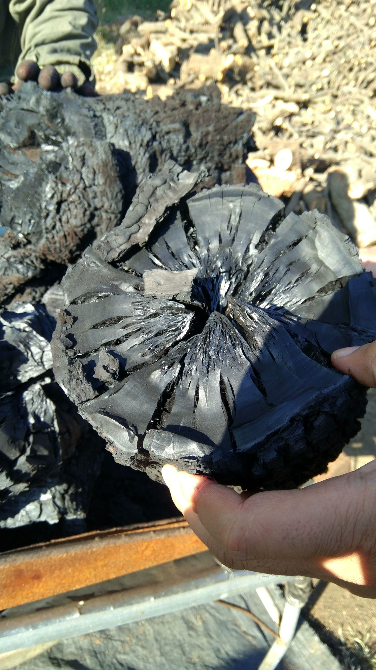  厂家处理枣木炭 大块  取暖 烧烤  涮  质量保证全国发货