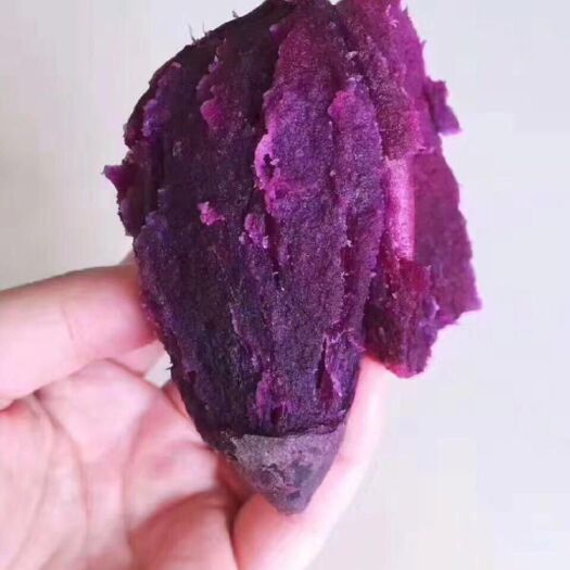 长丰县 天好紫薯好