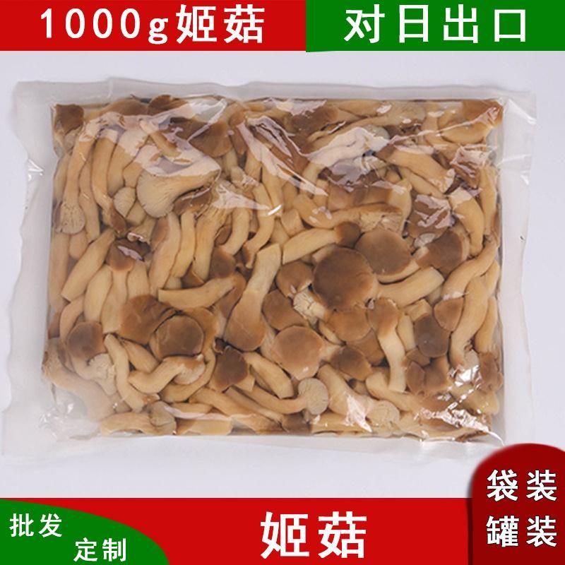  野生袋装新鲜姬菇工厂大量现货水煮平菇诚招分销商野生食用菌