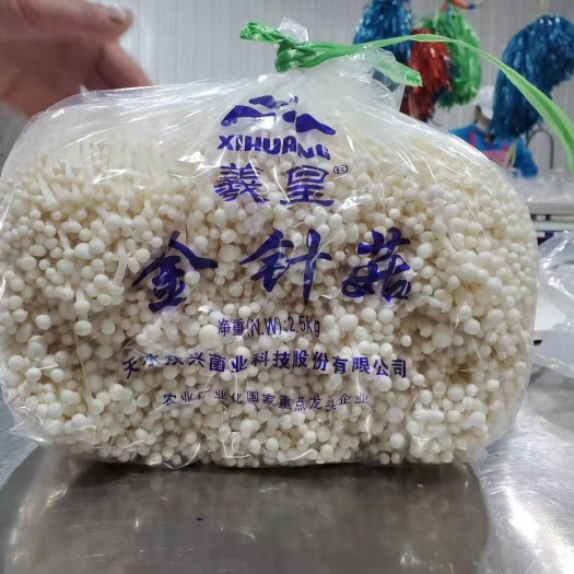 蒲城县 金针菇