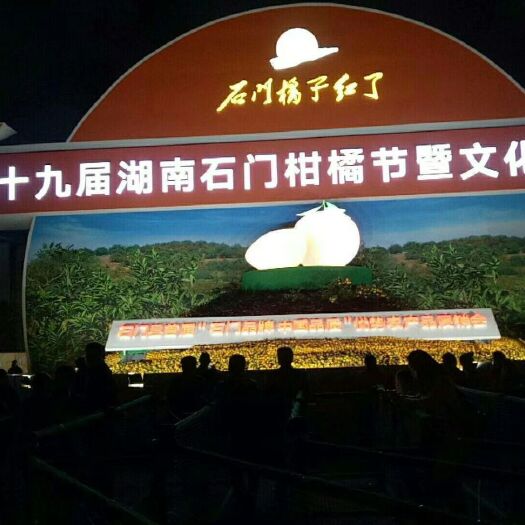 石门县蜜桔 石门蜜橘