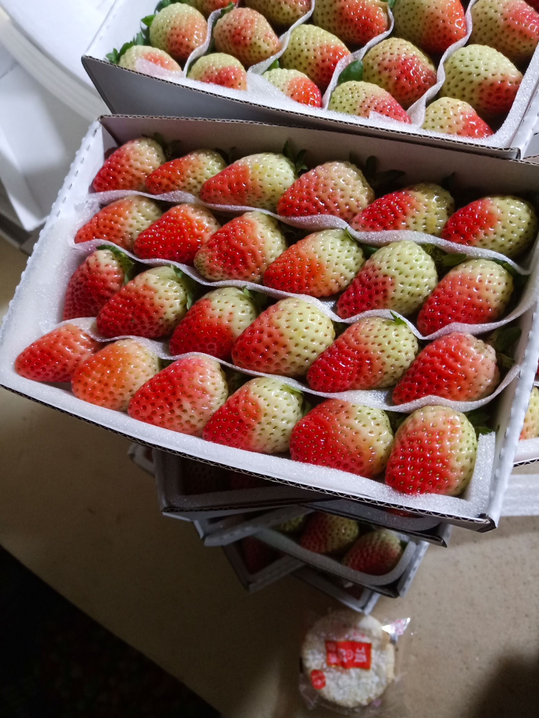 会泽县蒙特瑞草莓  会泽四季草莓