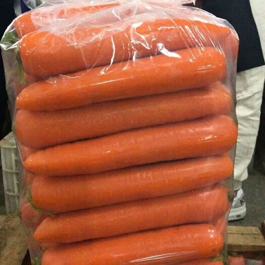 通许县 精品三红胡萝卜大量供应3两以上10厘米以上可水洗可带叶