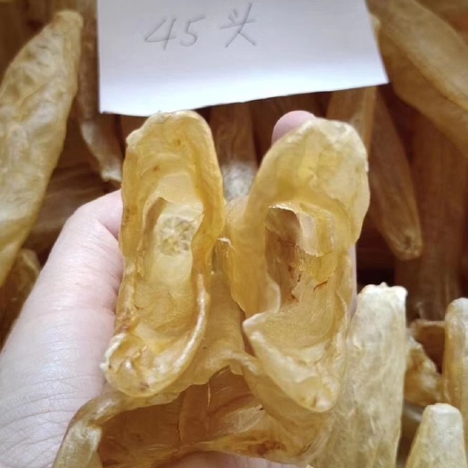 佛山花胶 45头A货黄花筒新货