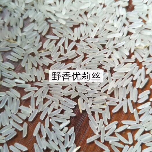 茶陵县 《野香优莉丝》，不打农药有机大米