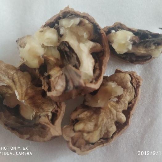 邹城市 正宗山核桃，皮薄 口味清香纯正
