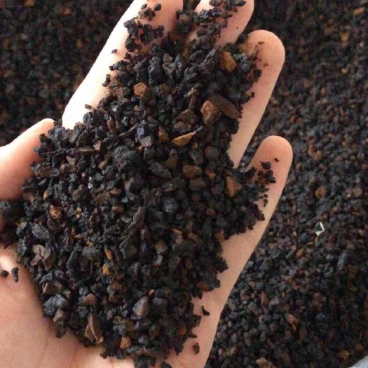七台河 批发桦树茸黑金