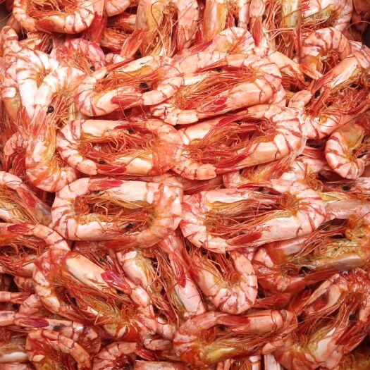 钦州 批发烘干海虾