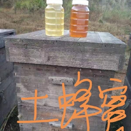 麻城市 土蜂蜜