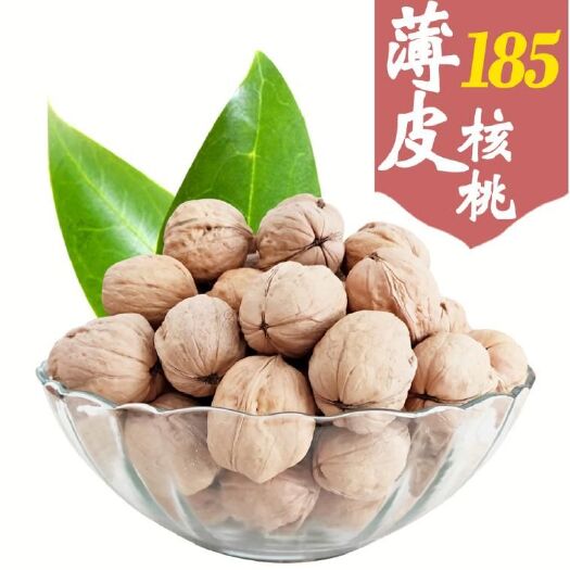 西安 秦岭老树纸皮核桃