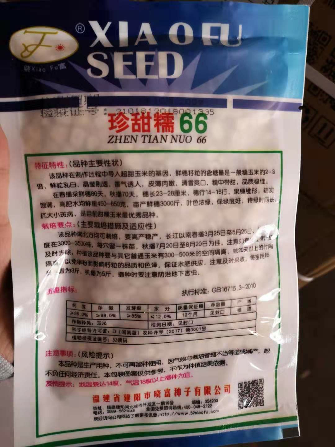  玉米种子，珍甜糯66玉米种子