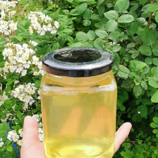 蒙阴县 沂蒙山蜂蜜 土蜂蜜 一瓶一斤两瓶装