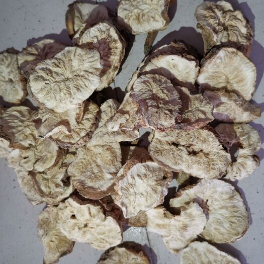 亳州 菊苣根新货