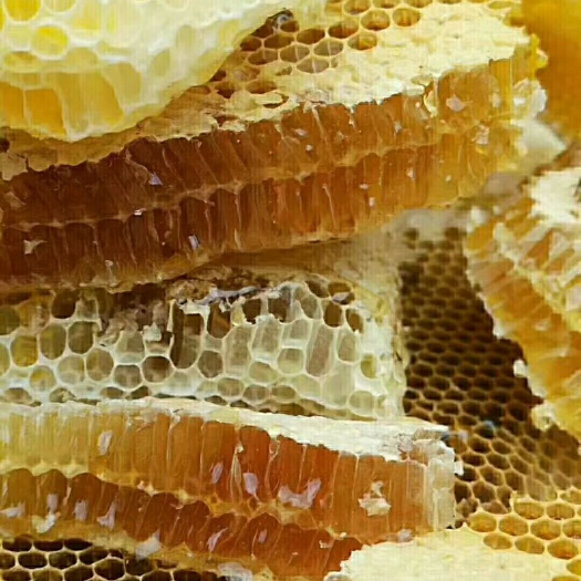 兴义市 野生蜂蜜，绿色食品，