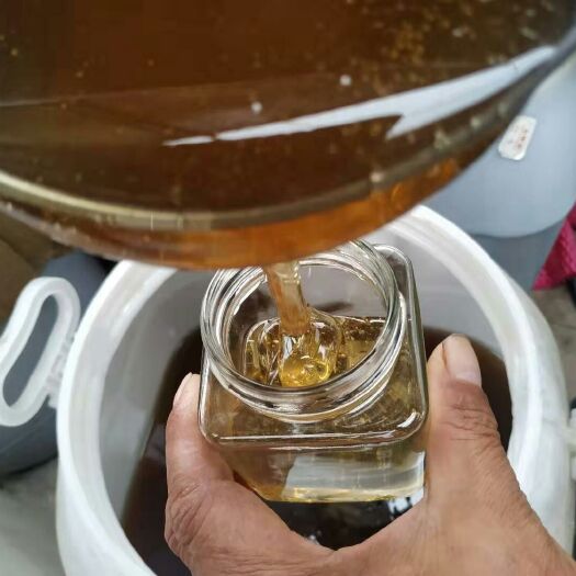 莱阳市 天然深山野生荆条蜜荆条花蜂蜜纯蜂蜜