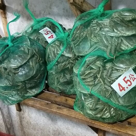 苏州阳澄湖镇大闸蟹