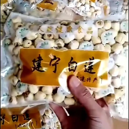 建宁县建莲 纯手工建宁农家人的通心白莲