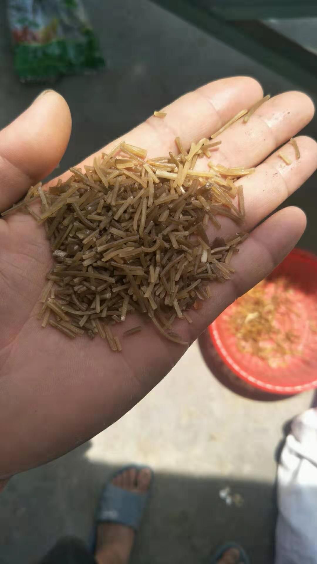  优质精品粉条，大量现货供应，每天10000斤最低，质量保证