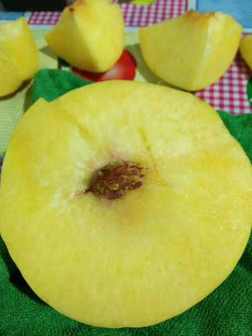 平邑县黄金蜜4号苗 黄金蜜4号  肉色金黄 现挖现卖保湿发货南北方种植