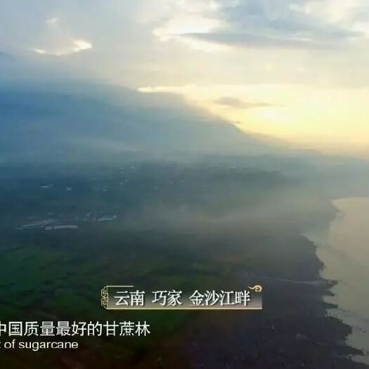 巧家县红糖 巧家正宗纯自家土作坊生产