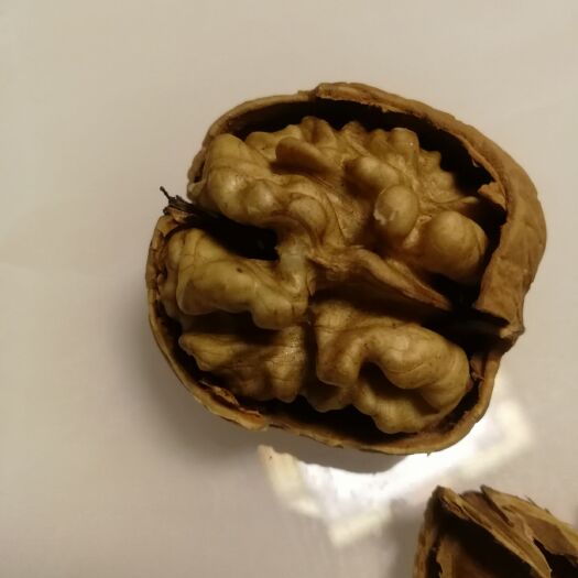 宜君县 核桃，山核桃，薄皮核桃