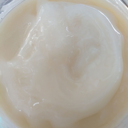 拜泉县 自家蜜蜂产的东北纯椴树蜜