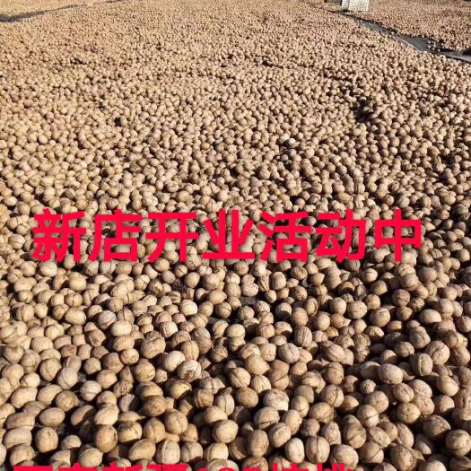 喀什市 核桃新疆185核桃零售15块一斤量大从优薄皮核桃
