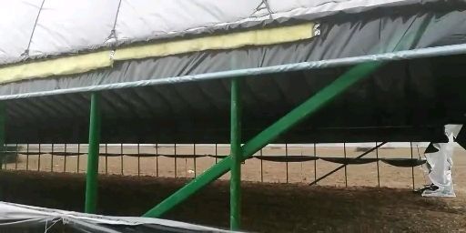 天津热镀锌大棚钢管，钢管大棚养殖大棚养羊棚养牛棚养鸡养鸭棚！