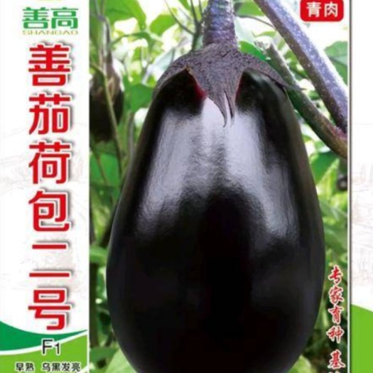 樟树市【善茄荷包二号】茄子种子早熟杂交耐病高产乌黑光亮基地包邮