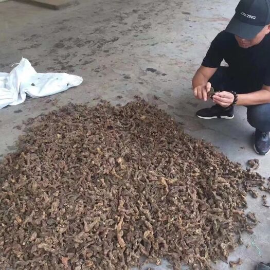 昆明 尼泊尔黄精有大量货源