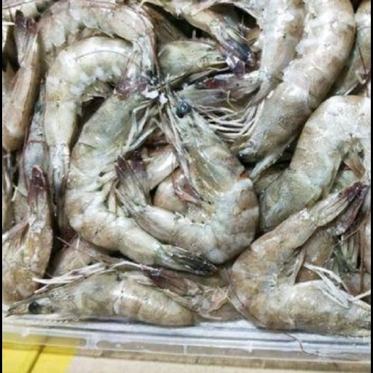  历虾，鹰虾，沙虾