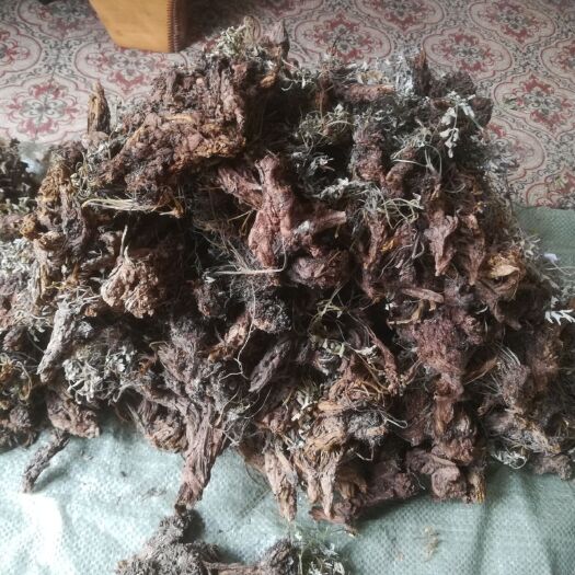 远安县回心草（药材）