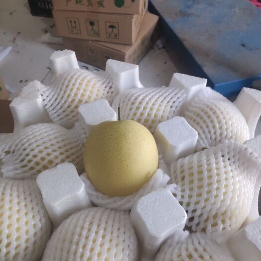 晋州市 精品手选皇冠梨