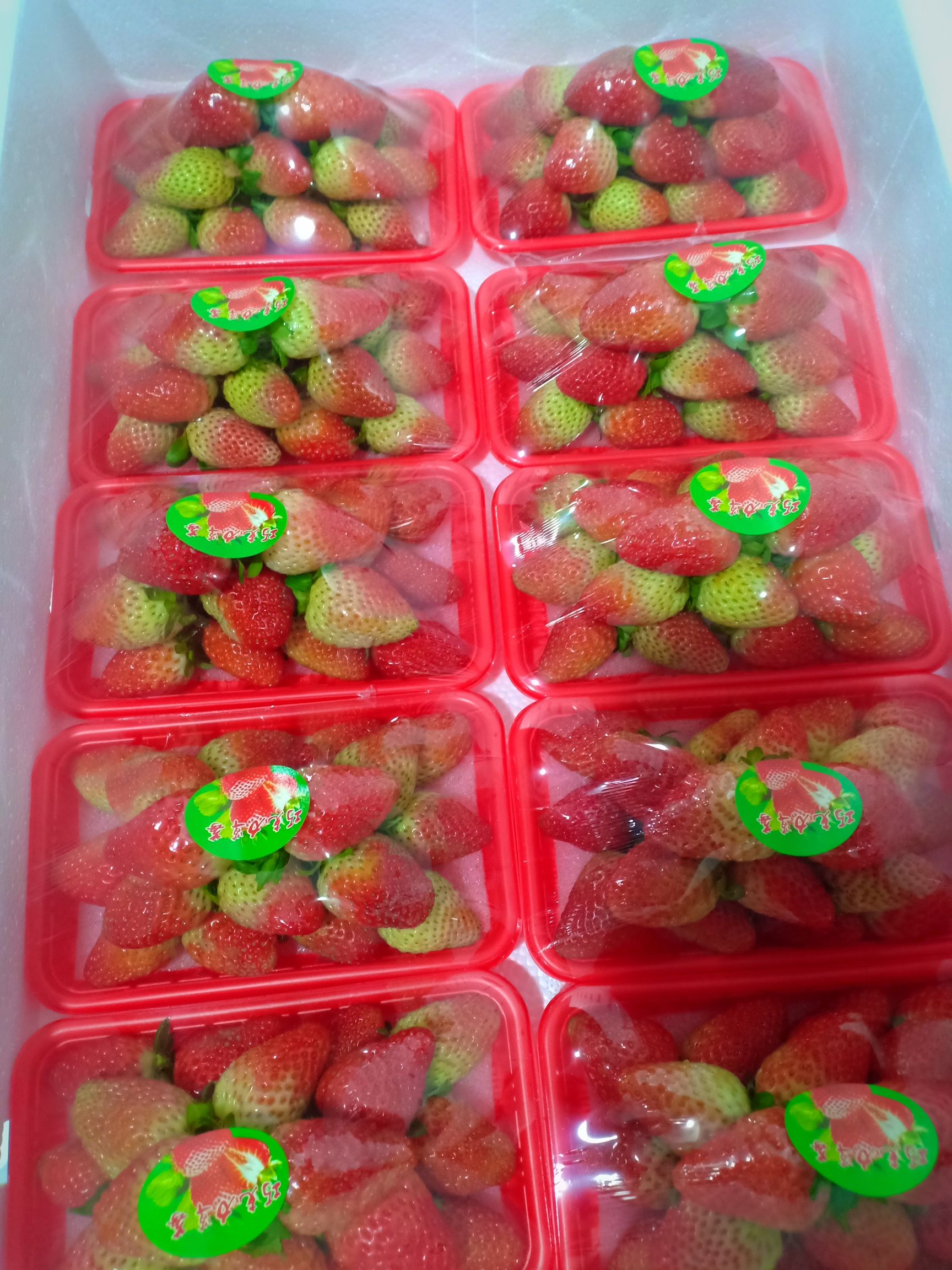  奶油草莓质量杠杠滴