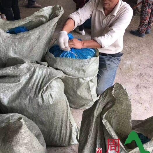 凯里市鸡鸭饲料 鸡鸭鹅生态发酵牧草，营养丰富，增强体质促进生长吸收