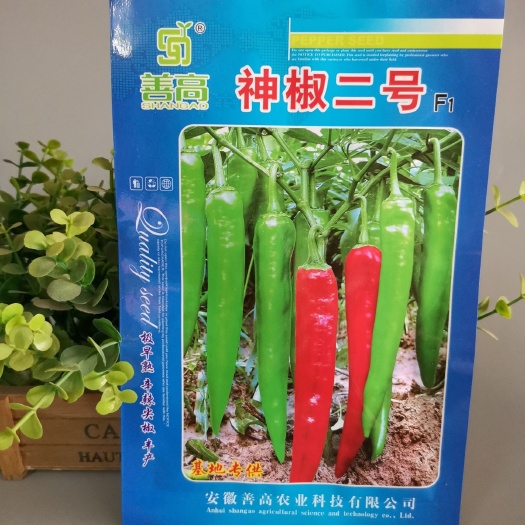 樟树市 【神椒二号】一代杂交辣椒种子特辣极早熟羊角形大田基地用种