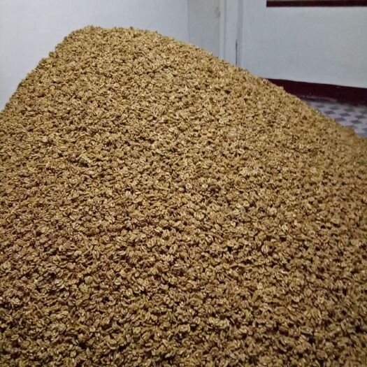 汾阳市 185核桃仁大量供应，各种类都有，电商，去皮，烘培，原料