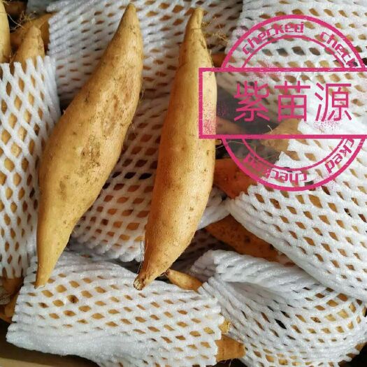 紫云县紫云红心红薯  贵州红薯 紫云红薯