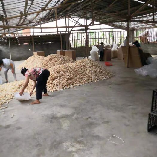 长宁县 竹荪，吉托嫩竹荪，短群竹荪，本色本味，绿色食品
