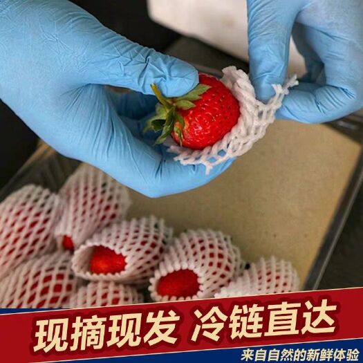 东港市 九九草莓，孩子孕妇水果，水果中的王中王