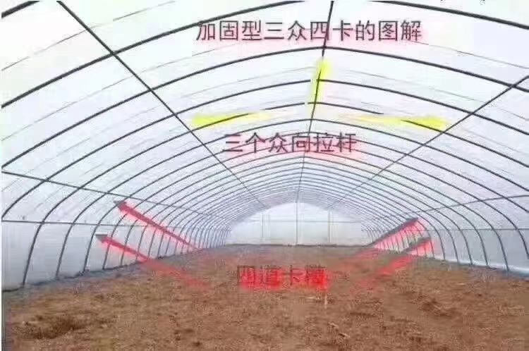 热镀锌大棚钢管，钢管大棚养殖大棚养羊棚养牛棚养鸡养鸭棚！